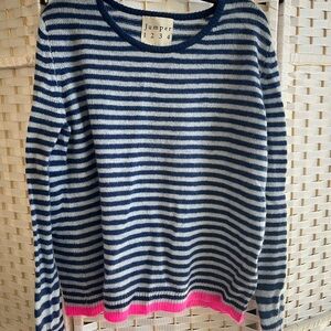 Blue and Pink Crew Neck Striped Sweater
